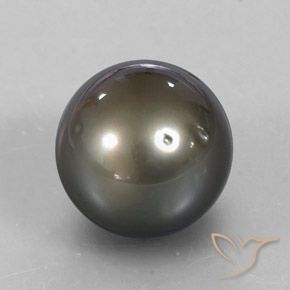 13.72캐럿 천연 노란 은색 진주, 구형 / 볼, 불투명체