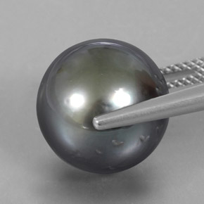 16.38캐럿 천연 실버 진주, 구형 / 볼, 13.08 mm, 불투명체