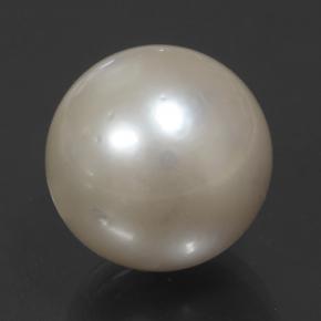 14.32캐럿 천연 크림 진주, 구형 / 볼, 12.65 mm, 불투명체