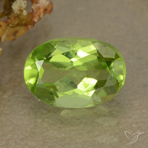 1.20ct 자연스러운 활기찬 녹색 감람석, 타원형, VS
