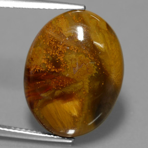 12.64캐럿 천연 멀티컬러 피터사이트, 타원형 컷, 19.8×15.1 mm, 불투명체