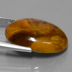 12.64캐럿 천연 멀티컬러 피터사이트, 타원형 컷, 19.8×15.1 mm, 불투명체