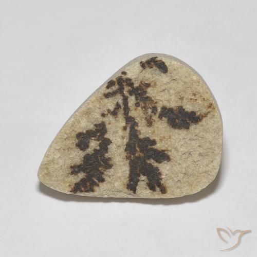 11.56ct 자연스러운 다색 실로멜란 덴드라이트, 배 모양, 불투명체
