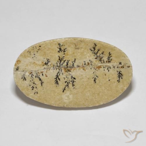33.47ct 자연스러운 다색 실로멜란 덴드라이트, 타원형, 불투명체