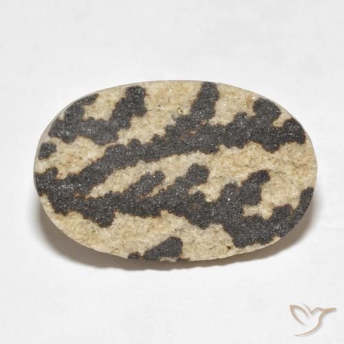17.99ct 자연스러운 다색 실로멜란 덴드라이트, 타원형, 불투명체