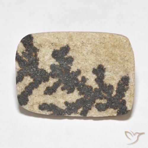 18.24ct 자연스러운 다색 실로멜란 덴드라이트, 방석, 불투명체