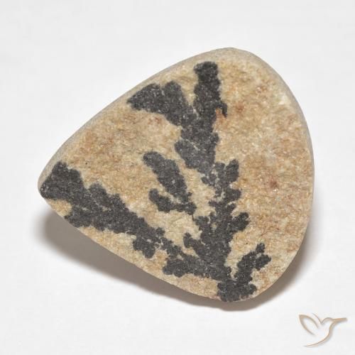 19.59ct 자연스러운 다색 실로멜란 덴드라이트, 배 모양, 불투명체