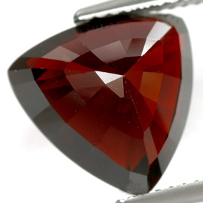 8.18캐럿 천연 딥 레드 파이로프 가넷, 트릴리언, 12.2×11.8 mm, IF