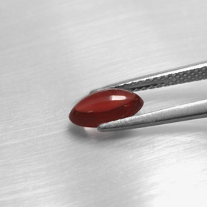 1.20캐럿 천연 레드 파이로프 가넷, 투명한, 8.3×4.7 mm, 투명/반투명