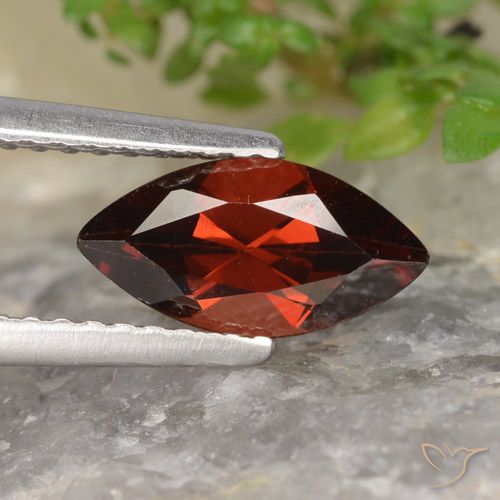 1.20ct 자연스러운 다크 레드 파이로프 석류석, 보석, VVS-VS