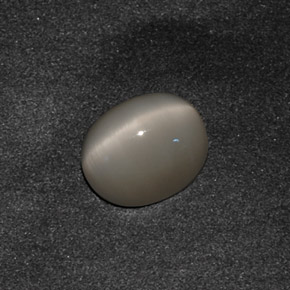 3.42캐럿 천연 스모크 Quartz Cat's Eye, 타원형 컷, 10.1×8.1 mm, 불투명체