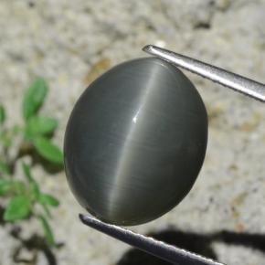 7.96캐럿 천연 어두운 회색 Quartz Cat's Eye, 타원형 컷, 12.9×10.6 mm, 불투명체