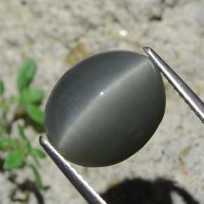7.96캐럿 천연 어두운 회색 Quartz Cat's Eye, 타원형 컷, 12.9×10.6 mm, 불투명체