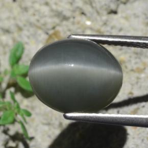 7.96캐럿 천연 어두운 회색 Quartz Cat's Eye, 타원형 컷, 12.9×10.6 mm, 불투명체