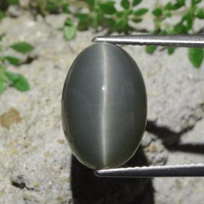 9.07캐럿 천연 녹색 쿼츠 캣츠아이, 타원형 컷, 불투명체