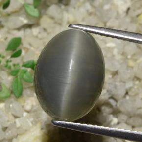 8.08캐럿 천연 회색 녹색 쿼츠 캣츠아이, 타원형 컷, 투명한