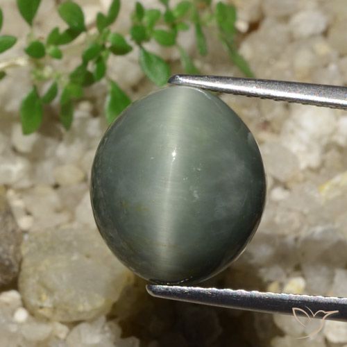 7.74ct 자연스러운 미디엄 그레이 쿼츠 캣츠아이, 타원형, 불투명체