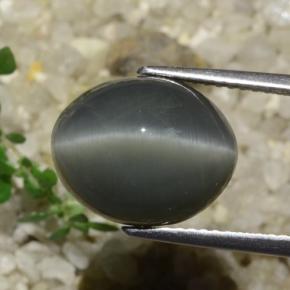 7.89캐럿 천연 어두운 회색 쿼츠 캣츠아이, 타원형 컷, 불투명체