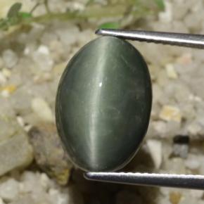 8.78캐럿 천연 미디엄 그레이 쿼츠 캣츠아이, 타원형 컷, 불투명체