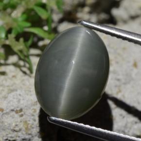 6.12캐럿 천연 옅은 녹색을 띤 회색 쿼츠 캣츠아이, 타원형 컷, 불투명체