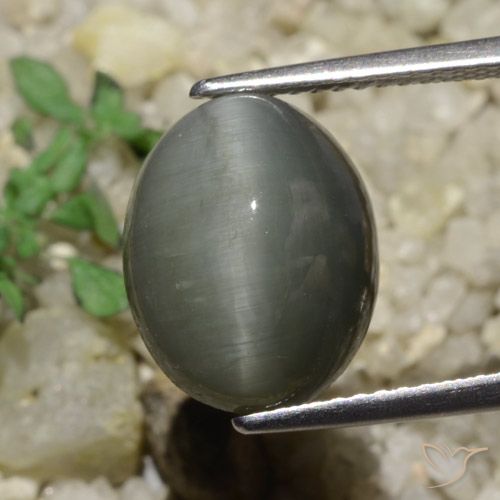 6.65ct 자연스러운 미디엄 그레이 쿼츠 캣츠아이, 타원형, 불투명체