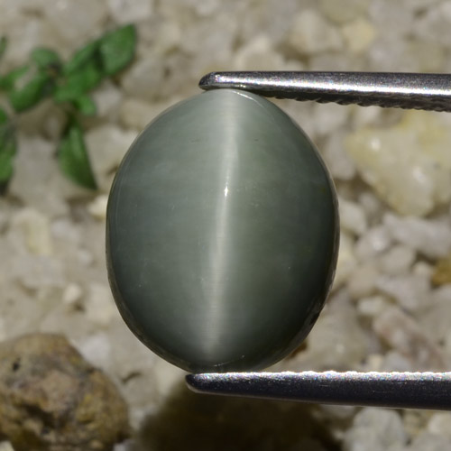 5.82캐럿 천연 초록빛이 도는 회색 쿼츠 캣츠아이, 타원형 컷, 투명한