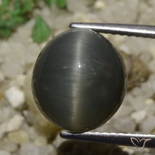 6.05ct 자연스러운 스틸 그레이 쿼츠 캣츠아이, 타원형, 불투명체