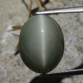 7.21캐럿 천연 초록빛이 도는 회색 쿼츠 캣츠아이, 타원형 컷, 불투명체