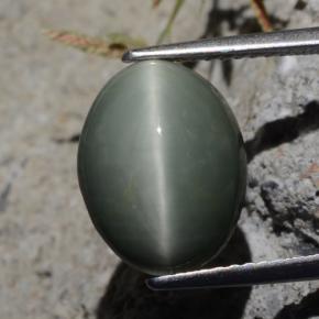 5.29캐럿 천연 녹색 쿼츠 캣츠아이, 타원형 컷, 불투명체