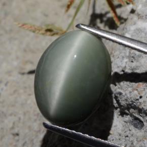 5.29캐럿 천연 녹색 쿼츠 캣츠아이, 타원형 컷, 불투명체