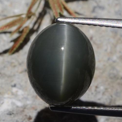 7.26캐럿 천연 어두운 회색 쿼츠 캣츠아이, 타원형 컷, 불투명체