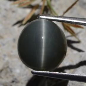 5.62캐럿 천연 녹색 쿼츠 캣츠아이, 타원형 컷, 불투명체