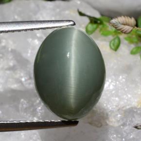 7.17캐럿 천연 미디엄-딥 그린 쿼츠 캣츠아이, 타원형 컷, 불투명체