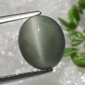 3.66캐럿 천연 녹색 쿼츠 캣츠아이, 타원형 컷, 불투명체