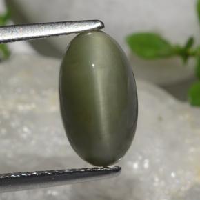 2.64캐럿 천연 녹색 쿼츠 캣츠아이, 타원형 컷, 불투명체