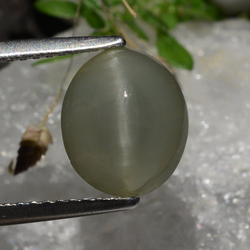 2.99캐럿 천연 회흑색 Quartz Cat's Eye, 타원형 컷, 9.8×8.3 mm, 투명한