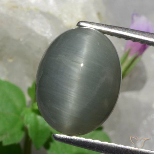 4.89ct 자연스러운 미디엄 그레이 쿼츠 캣츠아이, 타원형, 불투명체