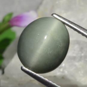 3.01캐럿 천연 미디엄 그레이 Quartz Cat's Eye, 타원형 컷, 10.3×8.8 mm, 불투명체