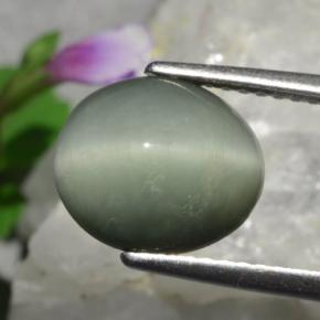 3.01캐럿 천연 미디엄 그레이 Quartz Cat's Eye, 타원형 컷, 10.3×8.8 mm, 불투명체