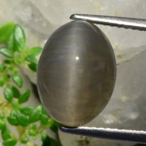 5.37캐럿 천연 땅콩 브라운 Quartz Cat's Eye, 타원형 컷, 12.3×9.2 mm, 투명한
