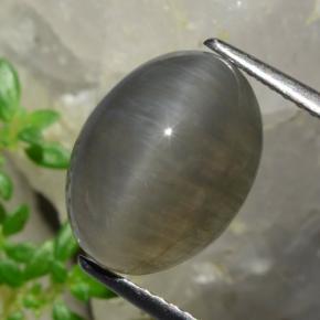 5.37캐럿 천연 땅콩 브라운 Quartz Cat's Eye, 타원형 컷, 12.3×9.2 mm, 투명한