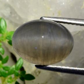 5.37캐럿 천연 땅콩 브라운 Quartz Cat's Eye, 타원형 컷, 12.3×9.2 mm, 투명한