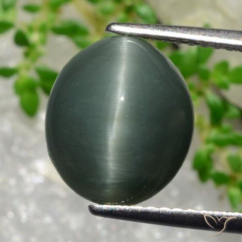 5.66캐럿 천연 초록빛이 도는 회색 쿼츠 캣츠아이, 타원형 컷, 불투명체