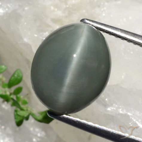 6.17캐럿 천연 초록빛이 도는 회색 쿼츠 캣츠아이, 타원형 컷, 불투명체