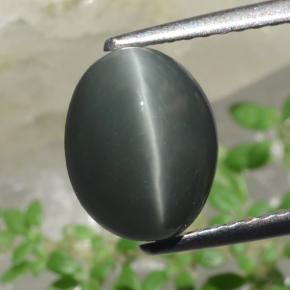 2.63캐럿 천연 녹색 쿼츠 캣츠아이, 타원형 컷, 불투명체