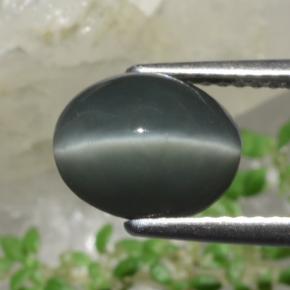 2.63캐럿 천연 녹색 쿼츠 캣츠아이, 타원형 컷, 불투명체