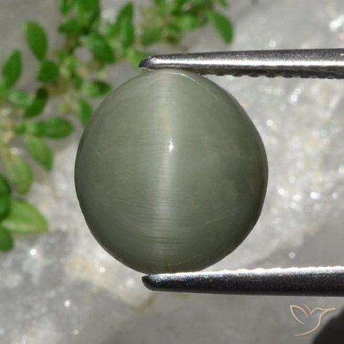4.44ct 자연스러운 회색 녹색 쿼츠 캣츠아이, 타원형, 불투명체