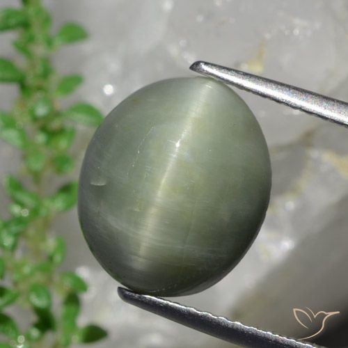 6.13ct 자연스러운 미디엄 그린 쿼츠 캣츠아이, 타원형, 불투명체