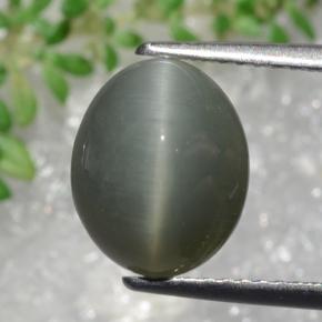 3.22캐럿 천연 초록빛이 도는 회색 쿼츠 캣츠아이, 타원형 컷, 불투명체