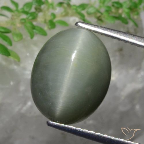 5.82ct 자연스러운 미디엄 그린 쿼츠 캣츠아이, 타원형, 불투명체